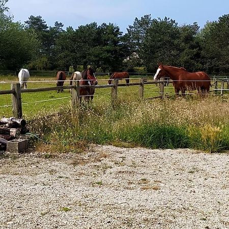 Le Gite De La Ferme Portbail Buitenkant foto