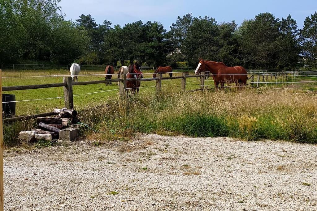 Le Gite De La Ferme Portbail Buitenkant foto