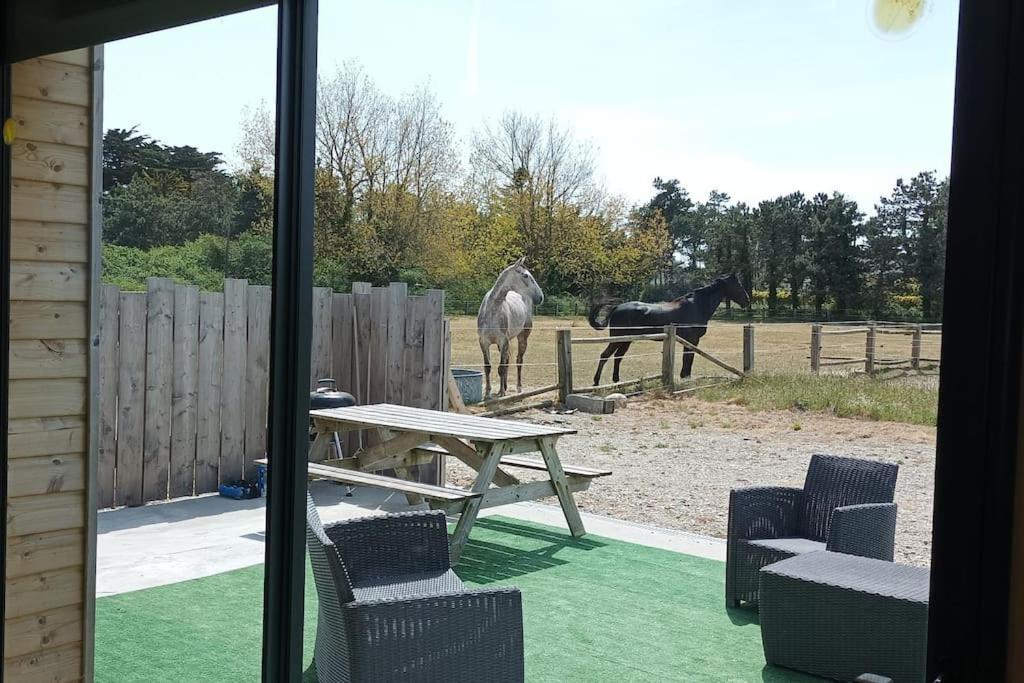 Le Gite De La Ferme Portbail Buitenkant foto